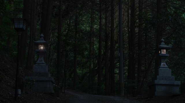 山の中の燈篭とヒメボタル
