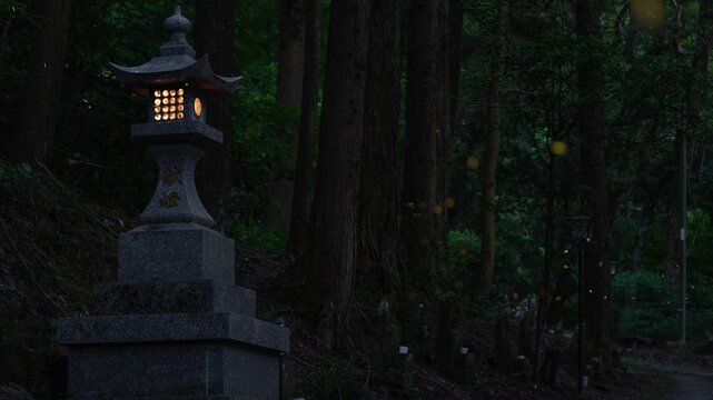 山の中の燈篭とヒメボタル