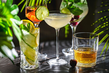 Fototapeta premium Diverse alcoholic cocktail drinks in elegant glassware on dark background. Premium night club service and summer drink menu concept.