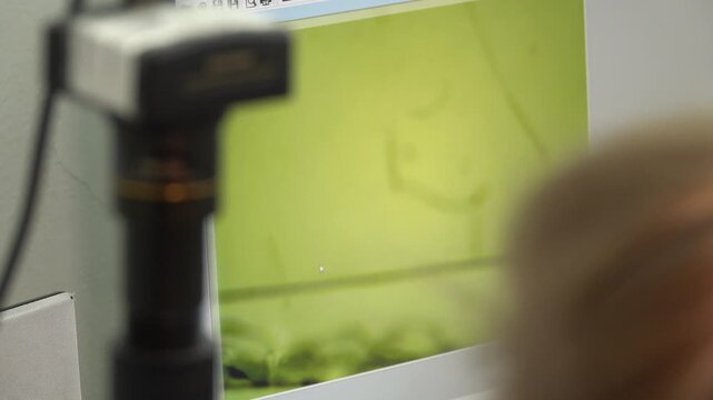 Close-up footage of a laboratory experiment with test tubes and glassware, featuring bubbling and mixing liquids. Scientific research process in a modern lab environment, showcasing chemical reactions