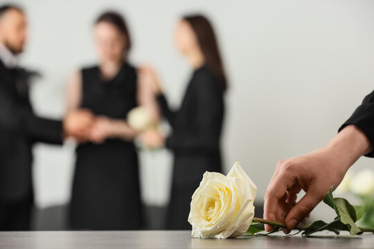White rose with grieving people in background at funeral