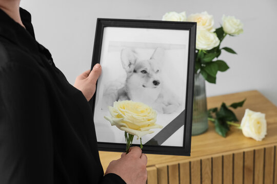 Person holding framed photo of dog with white rose