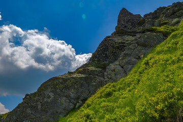 Rocky alpine slope rising above lush mountain vegetation under a deep blue sky in the Tatra Mountains. Dramatic summer landscape with granite cliffs and white clouds © Maciej Bonk