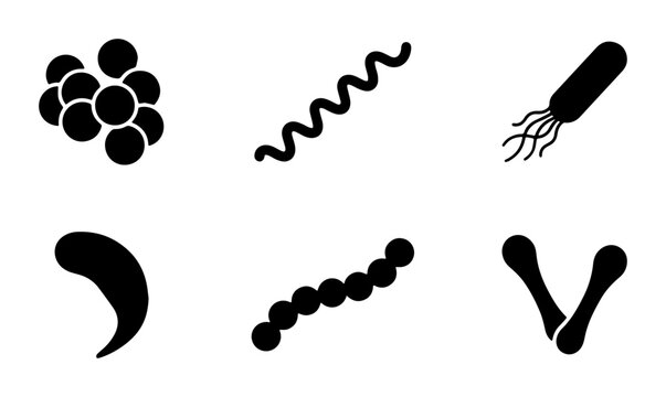 Diverse Microbe Shapes Vector Icons: Bacteria, Cocci, Spirilla, Vibrio, Bacillus, Spirochete, Microorganism Biology Science