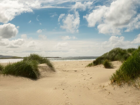 Sandy beach path between grassy dunes under cloudy sky. Dunes covered in tall green grasses. Horizon shows calm sea and distant land. Blue sky with scattered white clouds above