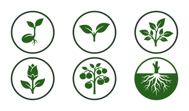 Green plant growth icon set collection , set of 6 organic seedling and sprout vector symbols, botanical life stage illustrations for gardening and agriculture