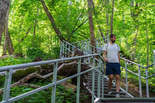 Male hiker walking on forest stair trail near Baltic Sea coast