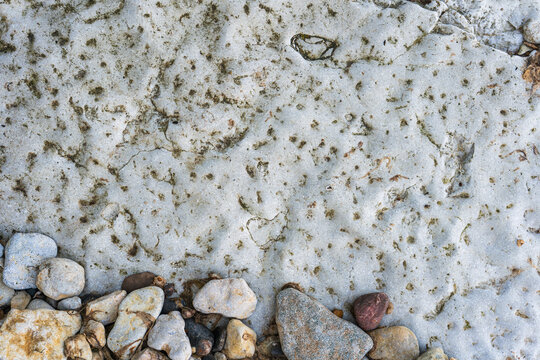 Pale coastal stone background with pebbles and natural organic marks
