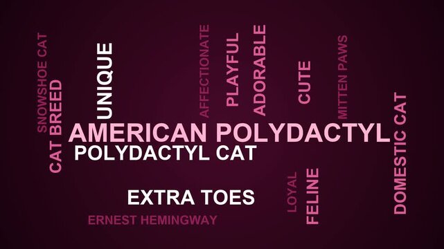 American Polydactyl Word Cloud