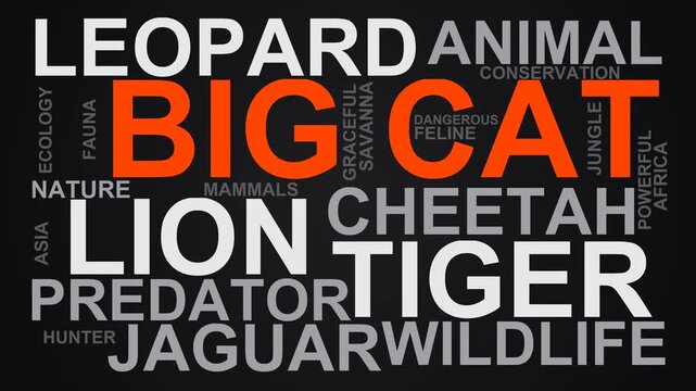 Big Cat Word Cloud