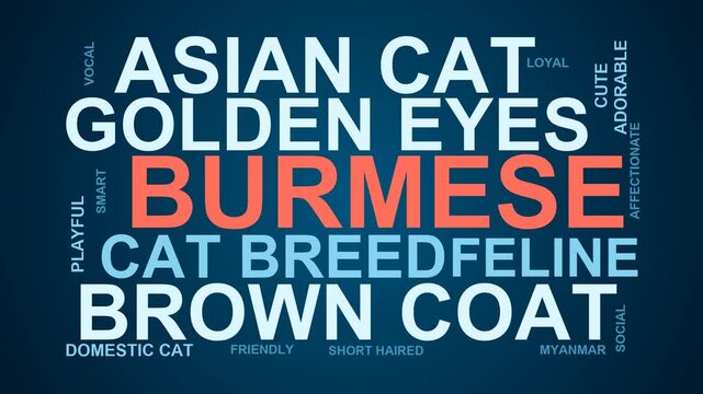 Burmese Word Cloud