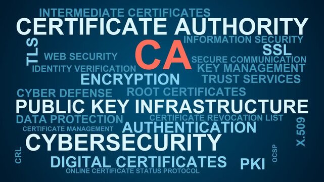 Ca Word Cloud