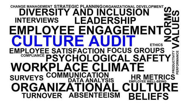 Culture Audit Word Cloud