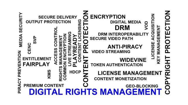 Digital Rights Management Word Cloud