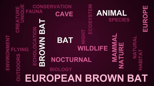 European Brown Bat Word Cloud