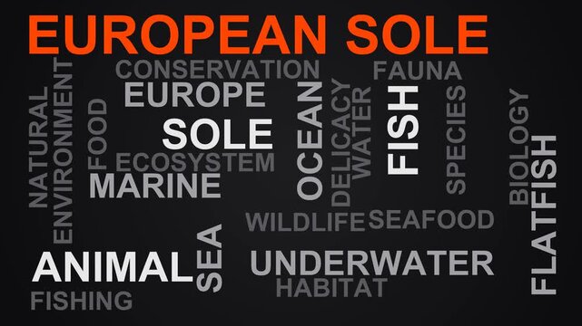 European Sole Word Cloud
