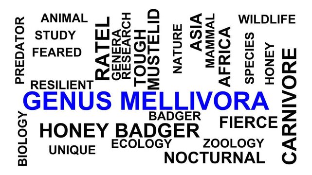 Genus Mellivora Word Cloud