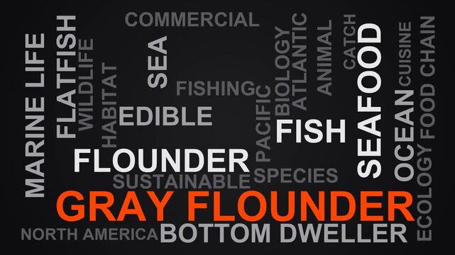 Gray Flounder Word Cloud