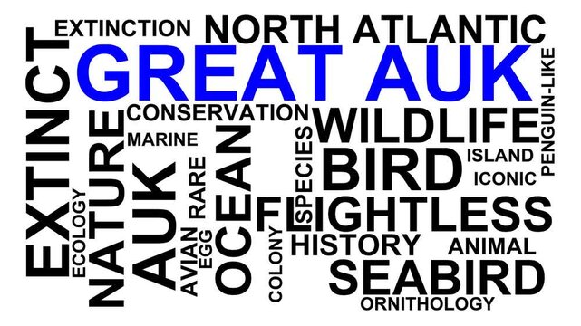 Great Auk Word Cloud