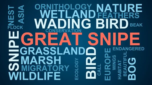 Great Snipe Word Cloud