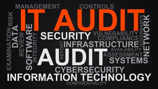 It Audit Word Cloud