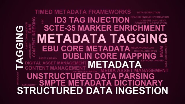 Metadata Tagging Word Cloud