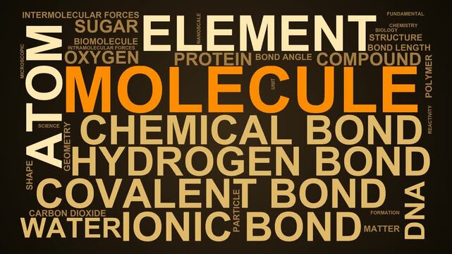 Molecule Word Cloud