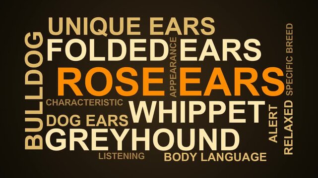 Rose Ears Word Cloud