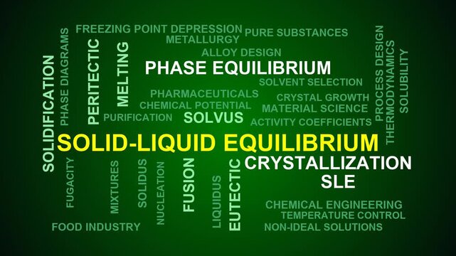 Solid-Liquid Equilibrium Word Cloud
