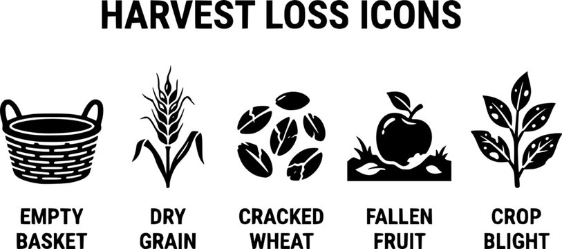 Harvest Loss Symbols. Harvest Loss Icons. Solid icon set of Harvest Loss Icons: empty basket, dry grain, cracked wheat, fallen fruit, crop blight, infested