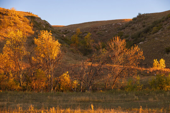 Grass pairie at Custer State Park, South Dakota