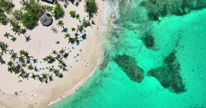 Caribbean exotic island in the sea, Tropical vacation on Bacardi island  Cayo Levantado Dominican republic, aerial view of exotic wild beach shore with palm trees