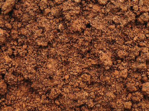 burnt sienna earth texture background, warm flat surface, deep orange brown tone, rich earthy feel, high resolution macro detail, commercial stock photo