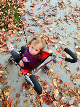 Overhead view of a young Girl Sitting in a Stroller amongst autumn leaves on the pavement, Emerald Glen Park, Dublin, California, USA