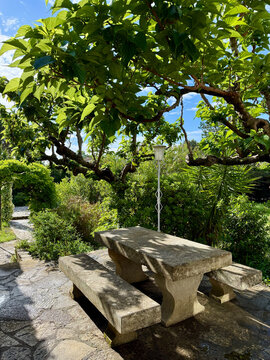 Concrete bench and table in a Provencal garden in springtime, Provence, France