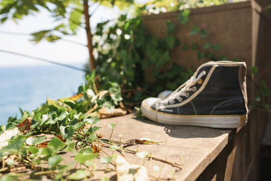 Close-up of a pair of high top trainers on a ivy covered wall by the sea, Cetara, Salerno, Campania, Italy