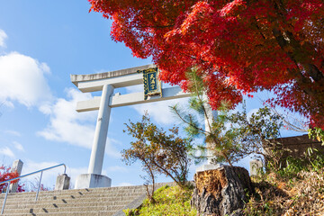 Obraz premium 日本の風景・秋 京都 長岡京市 紅葉の長岡天満宮 大鳥居
