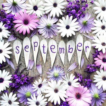 Overhead view of the word September written on leaves surrounded by assorted pink, purple and white flowers