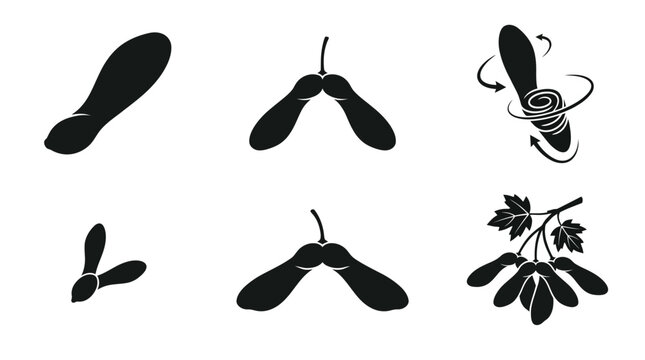 Flat vector icon set featuring six maple seed variations: single samara, paired samaras, spinning maple seed, young samara, mature samara, clustered maple seeds