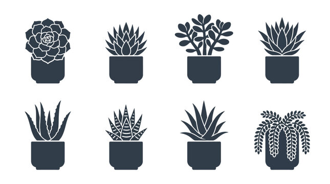 Flat vector icon set featuring six indoor succulents: Echeveria, Haworthia, Jade plant, Aloe vera, Zebra haworthia, Burro's tail, each in minimalist flower pots