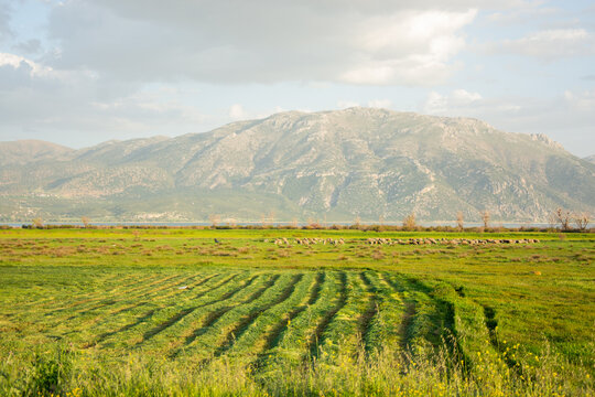 Green meadow and the Taurus Mountains on a summer day, Turkey
