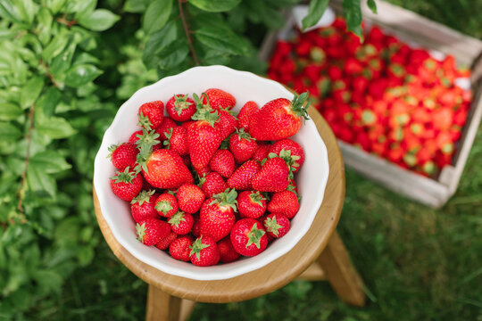 Overhead view of a bowl of ripe strawberries on a wooden stool and a crate of strawberries on the grass on a summer day