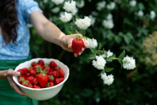 Close-up of a woman standing in a summer garden holding a bowl of freshly picked strawberries
