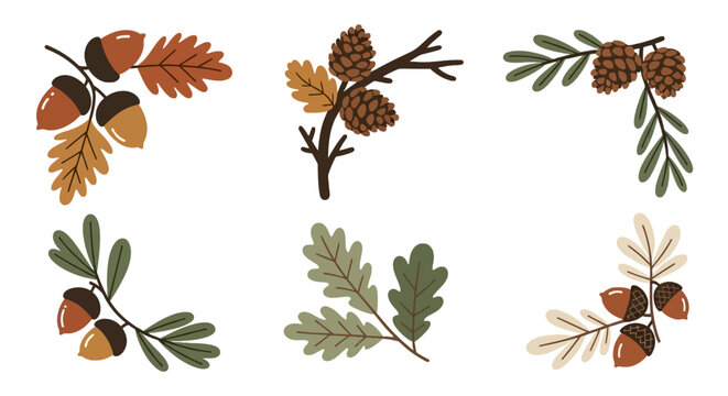 Autumn harvest botanical elements with acorns and pine cones