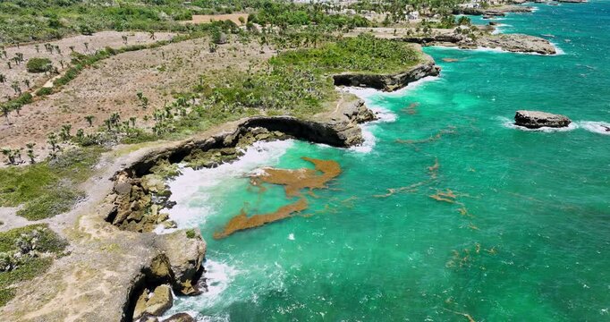 Aerial view of tropical rocky coastline with sea caves and sargassum algae in turquoise water Dominican republic 