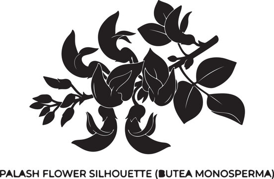 Palash flower silhouette vector, Butea Monosperma flame of the forest botanical illustration, black floral branch graphic for logo design