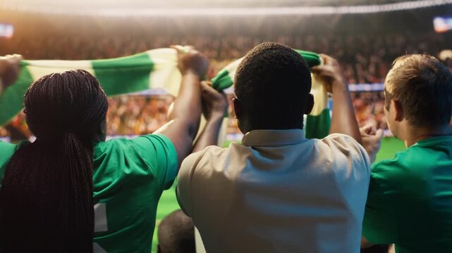 Football fan doing face palm after missed chance during soccer match, showing back view of supporters feeling negative emotions during tense soccer game for missed chance and match reaction content.