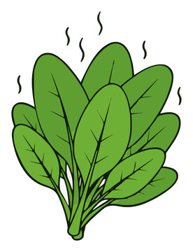 Spinach Salad Bowl Dynamic Low Angle Illustration. Generative AI