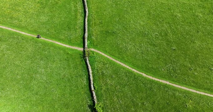 Aerial shot of lone walker on footpath through wildflower meadows