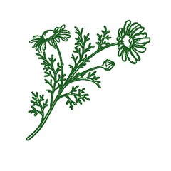 Fototapeta premium green floral design